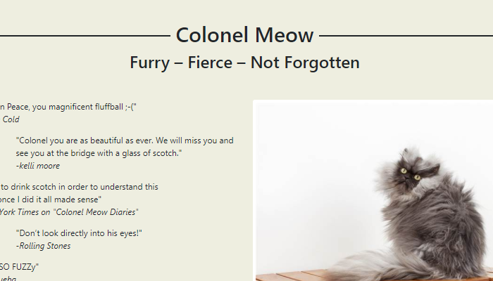 Tribute Page for Colonel Meow
